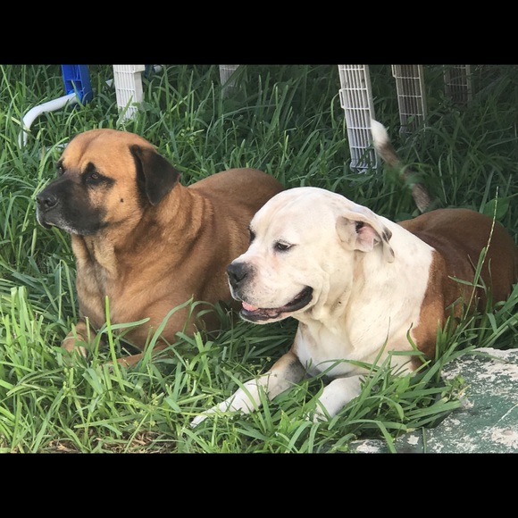 Meet your Posher, yamy - Picture 3 of 10